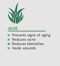 Load image into Gallery viewer, Whipped Aloe Vera Body Butter